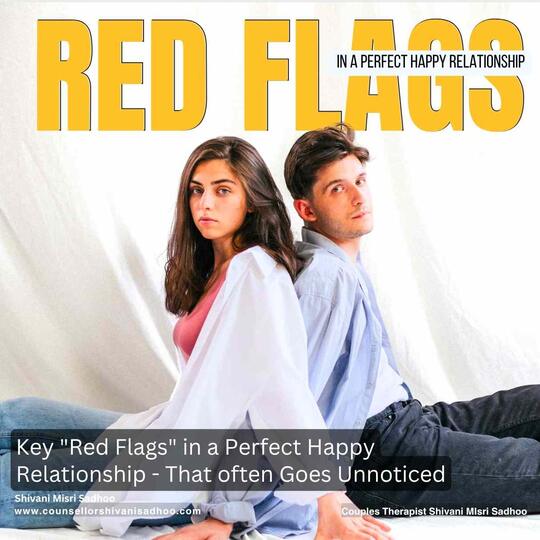 best couples counselor in delhi_shivani misri sadhoo
