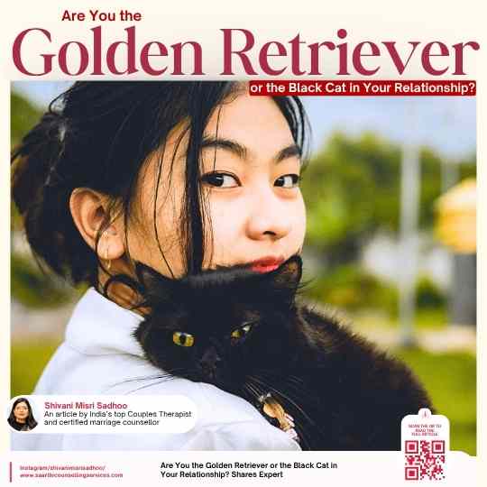 Golden Retriever Black Cat Relationship Suggest Couples Counselor